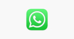 WhatsApp Feedback Report: Solve User Challenges, Enhance App