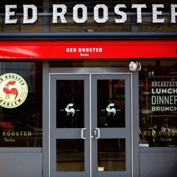 Discover Insights with Our Red Rooster Harlem Customer Feedback Report