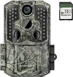 Trail Camera Reviews: Features, Quality, and Customer Support