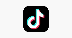 TikTok: A Fun and Educational App for Self-Expression