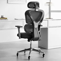 ErgoMax Ergonomic Chair Reviews