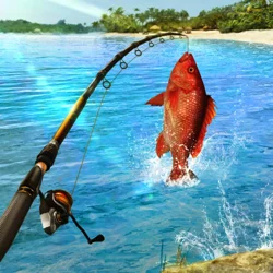 Unlock Insights: Fishing Clash Customer Feedback Report