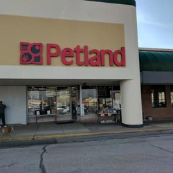 Warning: Unreliable Petland - Better to Buy from a Breeder