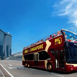 Review of Big Bus Singapore Tour