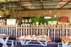 Unlock Flora Farms Customer Insights: Essential Report