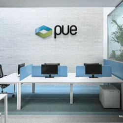 Review of PUE Training Institution