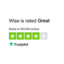 Wise User Feedback Report: Essential Insights Revealed