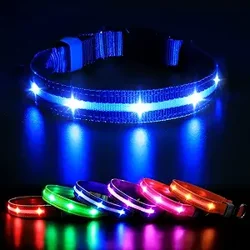 Illuminate Your Business with Our MASBRILL Dog Collar Report