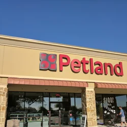 Explore Petland Frisco: Insightful Customer Feedback Report