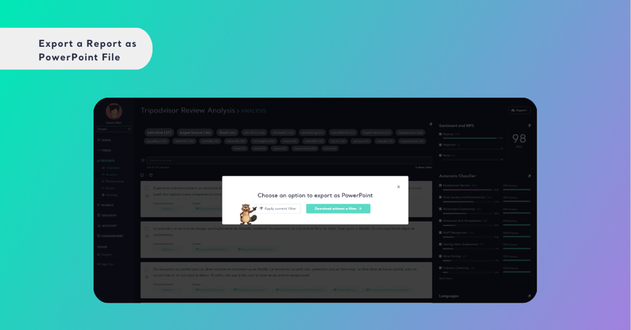 Customize Your Report with Filters