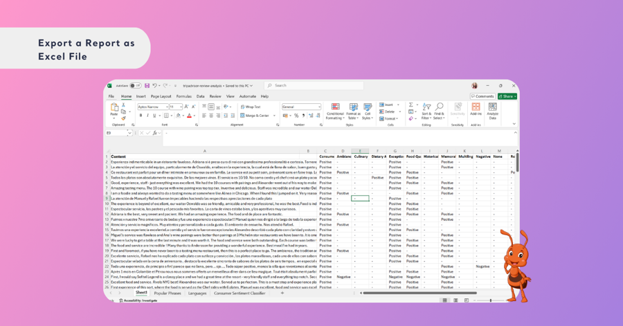 Open and Use Excel File