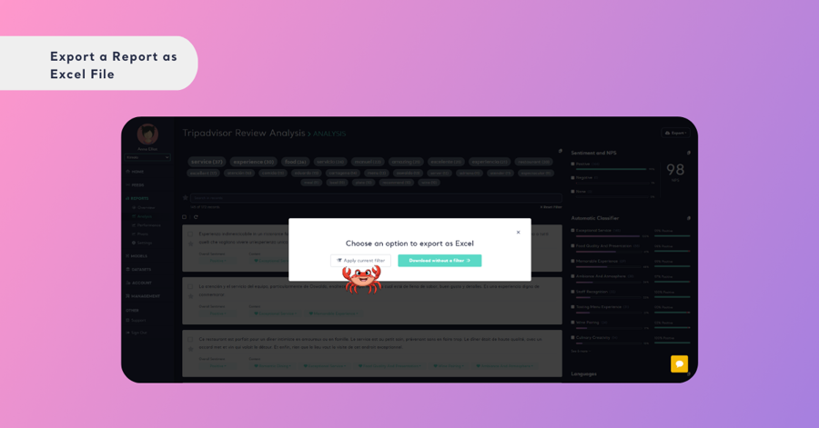 Apply Filters to Your Report